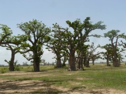 1000968_10201885904613145_1452688752_n_10201885904613145