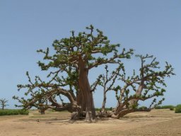 1174789_10201885904413140_1408658420_n_10201885904413140