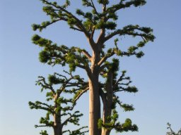 1233593_10201885900973054_563474973_n_10201885900973054