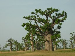 1234401_10201885899173009_1308012593_n_10201885899173009