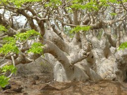 1234926_10201885903613120_397220399_n_10201885903613120