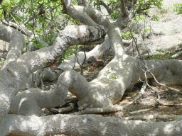 1235439_10201885909813275_533529404_n_10201885909813275