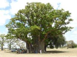 1239588_10201885908613245_1912210336_n_10201885908613245