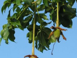 20dcc1cb-0aac-425f-94a4-ce60d9e1808b