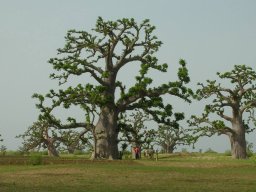 577218_10201885901013055_1011202897_n_10201885901013055